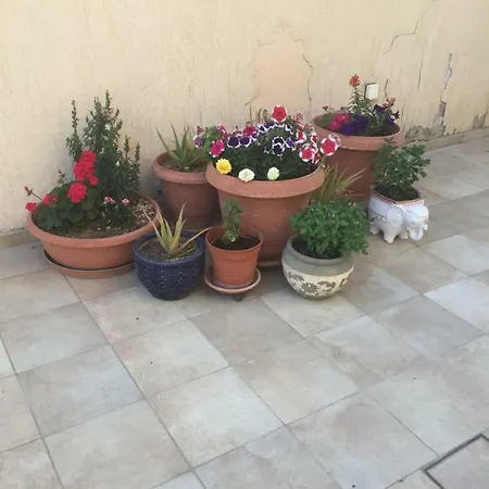 Apartament Artemis House